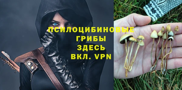 прущая мука Покачи