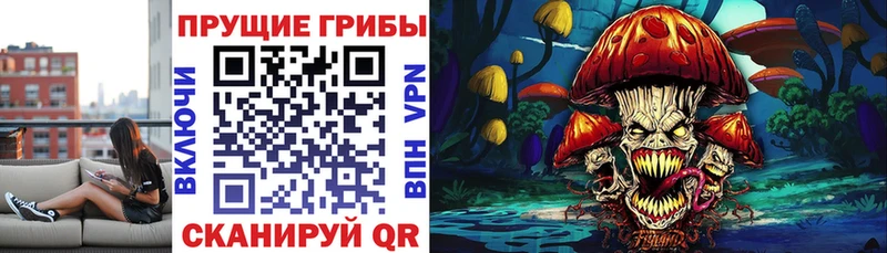 Псилоцибиновые грибы Magic Shrooms  Карачев 